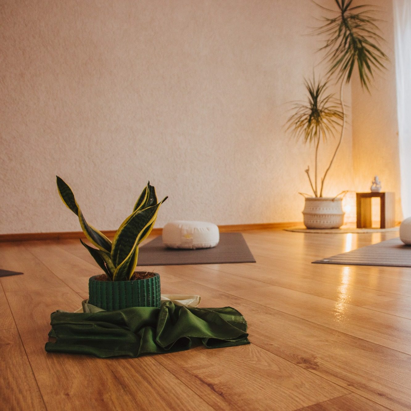 Minimalist Yogaraum mit Pflanzen, Matten und sanfter Beleuchtung.