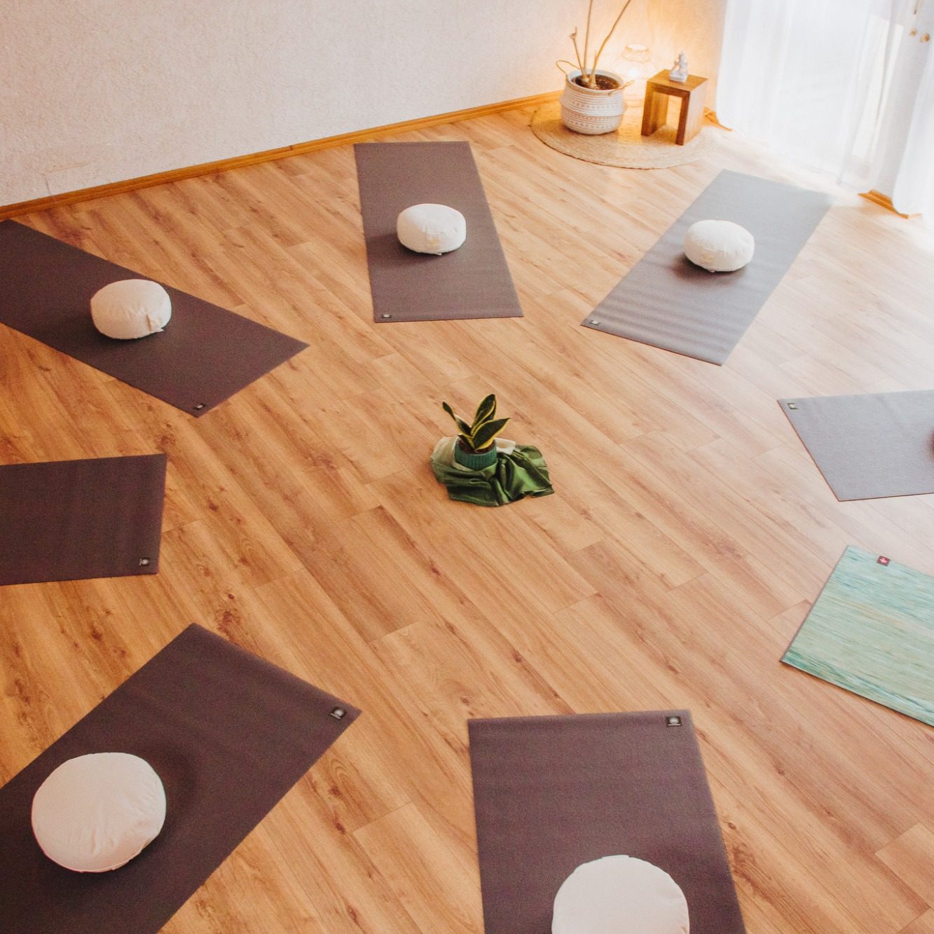 Ein heller Raum mit yogamatten und Sitzkissen, umgeben von Pflanzen.